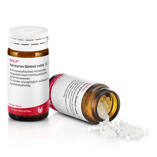 AGROPYRON Globuli velati